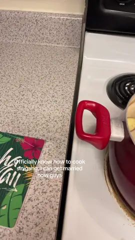 SO GOOD, SO PROUD OF MYSELF FOR COOKING DELICIOUS (MY MOM LIKED IT AND APPROVED)