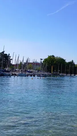 #LIVEIncentiveProgram #ConSantanderConecto #PaidPartnership #suisse🇨🇭 