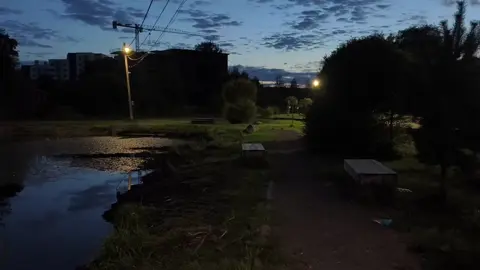 ... #real #vibes #aesthetic #atmosphere #alone #nature 