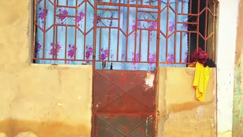 this is a dual life comedy please share this video very well so that it will go viral for me share it very well thank you