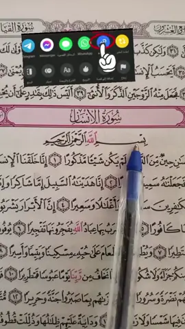 #islamic_video #catsoftiktok 