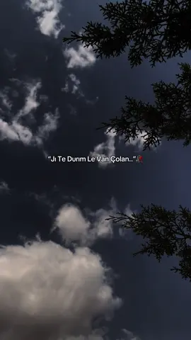 “Jı Te Durım Le Van Çolan..”🖤🌹 #meralsimsekk1 #storylikvideolar #storylikşarkılar #fypp 
