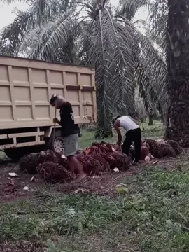 #fyp #masukberanda #sadvibes🥀 #viralvideo #muatsawitriau 