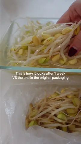 Love them sm for korean army stews slurps or as a banchan!!#beansprouts #Foodie #koreanfood #asmr