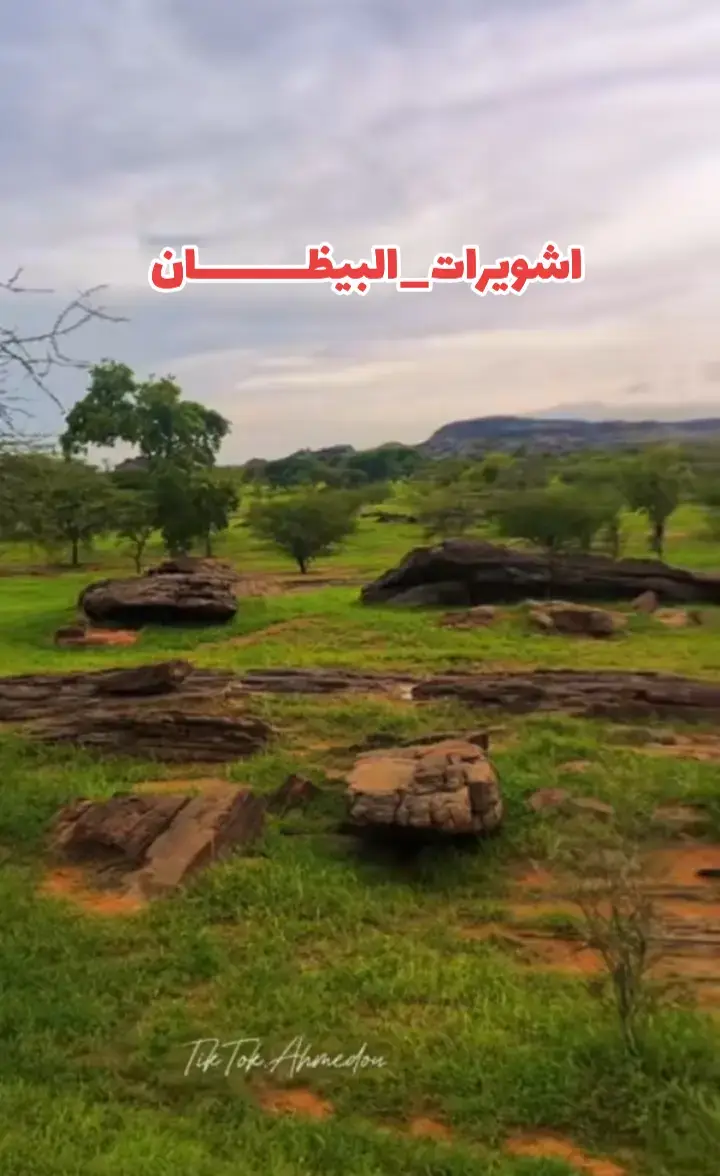 الهول الحساني واشويرات الظل وشي طايب #اشويرات_البيظان #الشعب_الصيني_ماله_حل #مشاهير_تيك_توك_مشاهير_العرب 