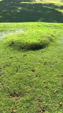 Lawn bubble pop 💦🌱 #fyp #satisfyingvideos #golf #garden #pop 