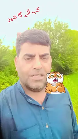 کب آئے گا شیر #livehighlights #tiktoklive 
