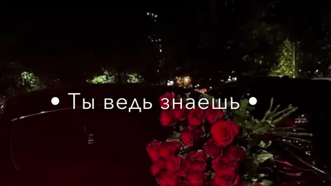 #fyp #рекомендации #песня #вурняндэреко🥀🔥 #тавенбахталэ⚜ 