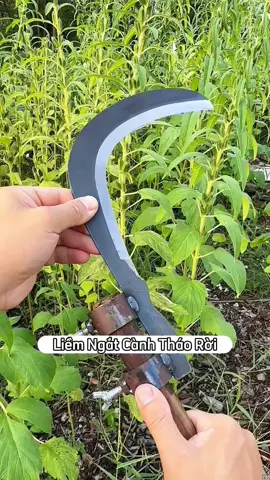 Gắn vào siết ốc là dùng được #dogiadung #giadungtienich #trongcay 