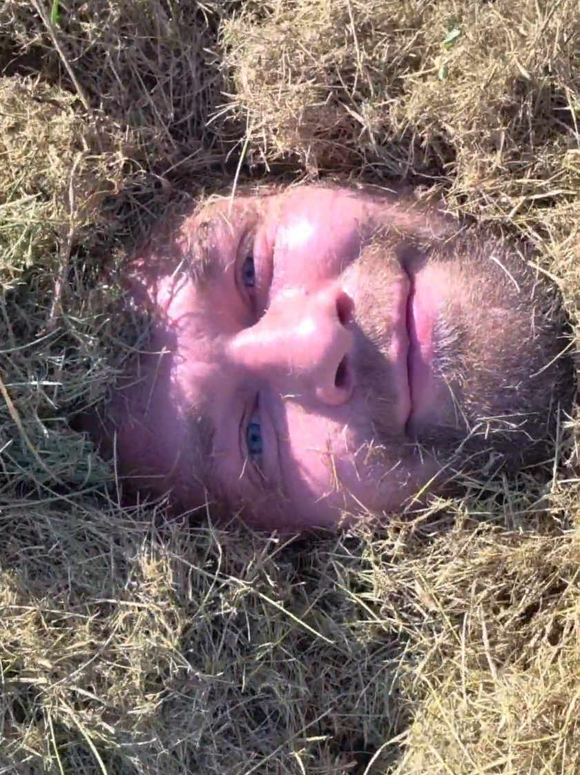 Just rolling with the mow-ment. #dad #dadsoftiktok #lawncare 