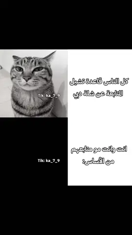 فولو نوصل 100k ‎ ‎ ‎ ‎ ‎ #povs#رياكشن #ريلز ‎ #الشعب_الصيني_ماله_حل😂😂 #ka_7_9 @داروين🇱🇧  ‎