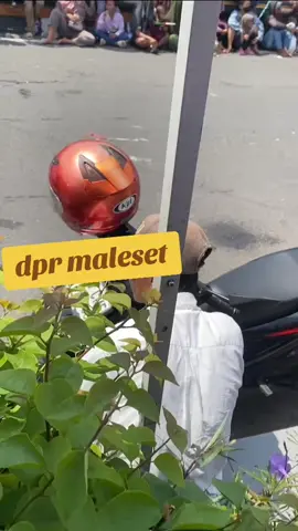 wakil rakyat nyata maleset #fyp#pajak #viral #tikuskantor#dpr