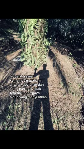 #petanisawit #petanimuda #storysawit #kulisawit #fyp 