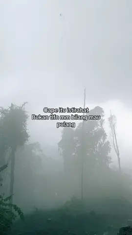 🫂🫂#dapurmama #foryou #berandafypシ 