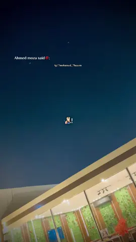 #flypシ #abohazem🤴🏻 #foryoupage #foryou #مصر #اكسبلور #viralvideo #viral 