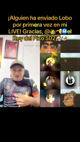 ¡Me ha encantado! ¡Gracias, 👑🫡Ⓜ️el Rey del Pico 502🏠🐶! Es la primera vez que veo este Regalo en mi LIVE.@👑🫡Ⓜ️el Rey del Pico 502🏠🐶 #livegift #wolf #lobo 