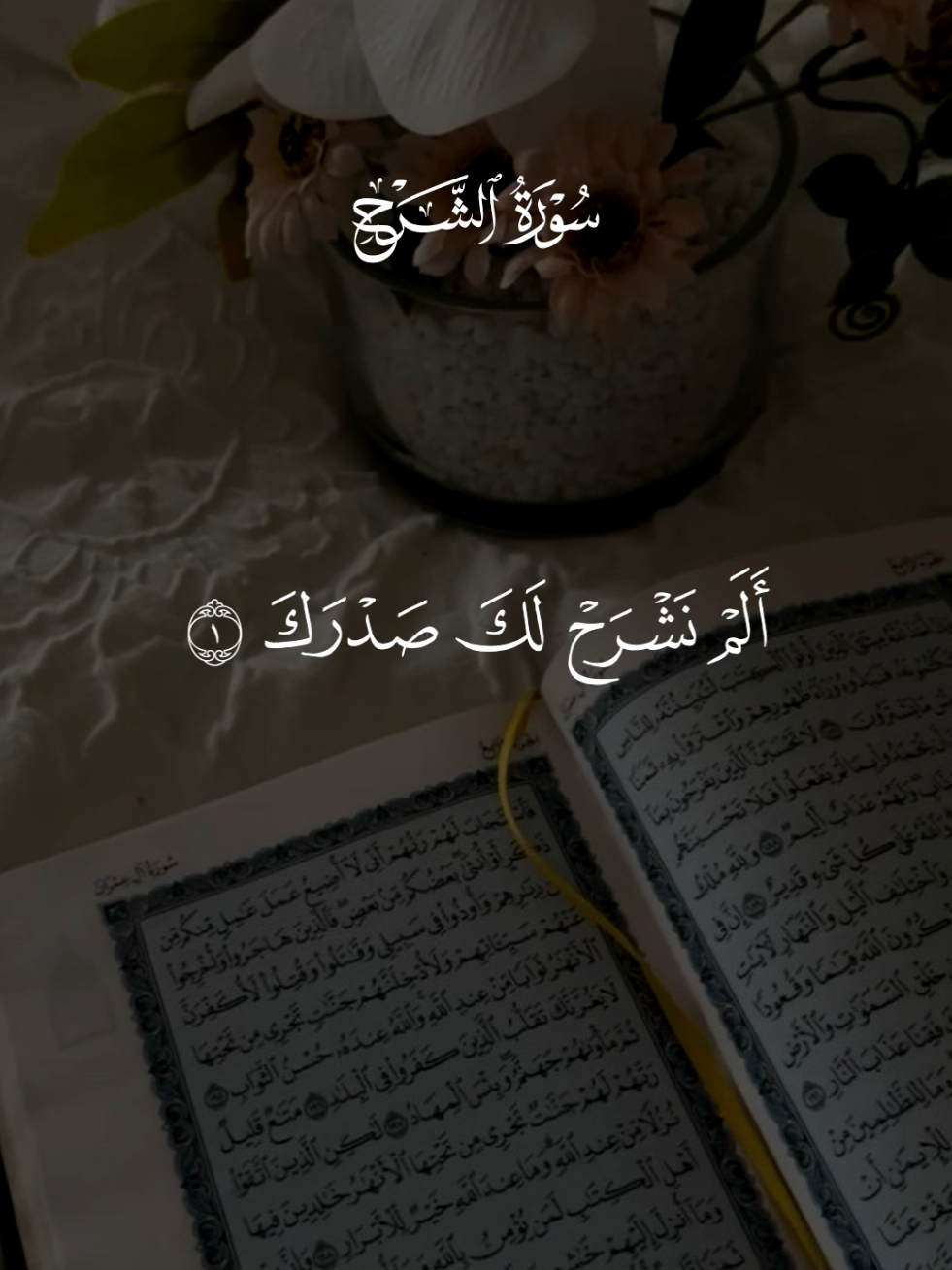 #قران #سعد_الغامدي #quran #قران_كريم #سورة_الشرح 