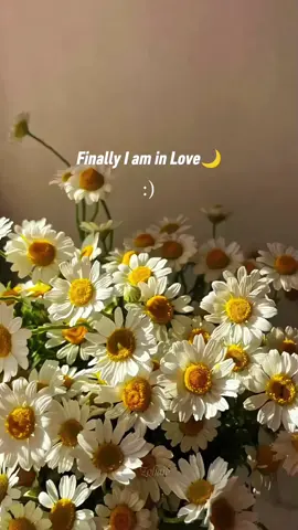 Love With Allah 💝 #nasheed #fypシ #arabic #32335 
