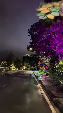 Đà Lạt hồ Xuân Hương buổi tối19/8  hồng Phương mến chúc cả nhà buổi tối an lành hạnh phúc#d#dalatt#thinnhhanhx#xuhuongtiktokh#hongphuongdalat