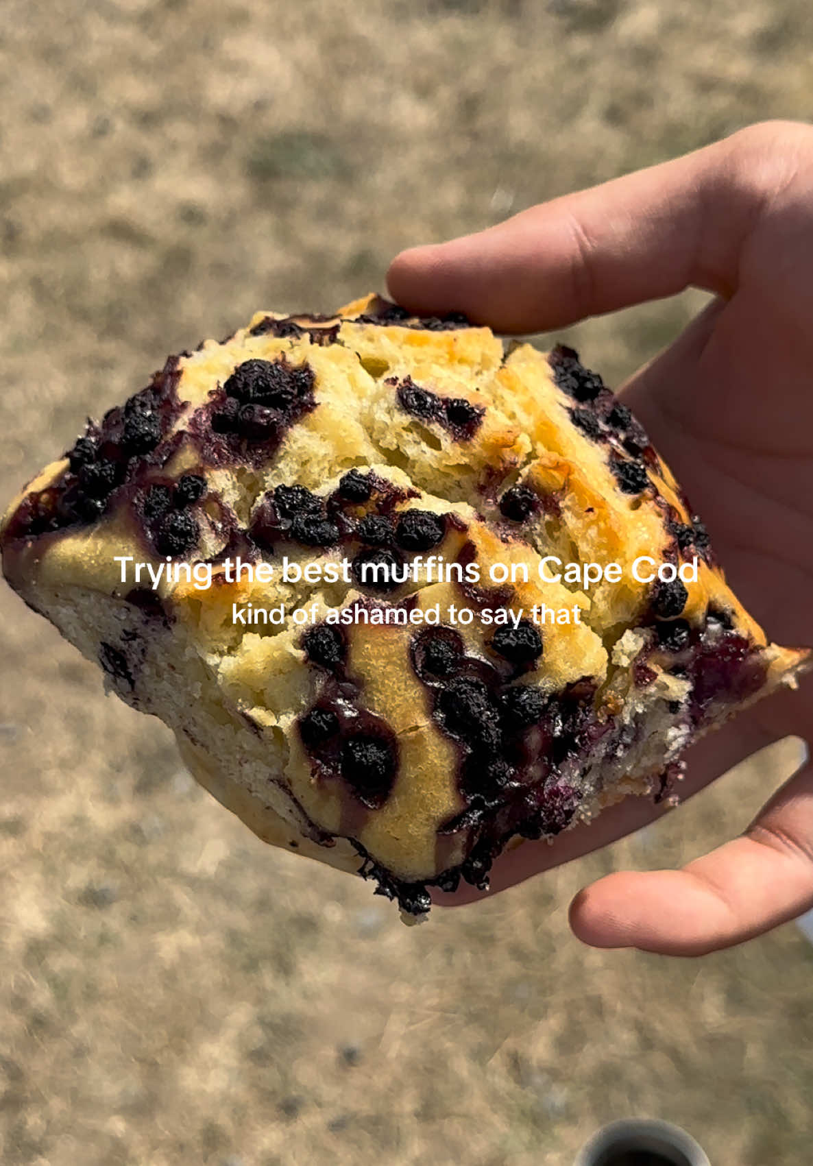 What’s your favorite muffin flavor? 🧁 Visiting Wolfie’s on Cape Cod !  #capecod #capecodmassachusetts #Summer #breakfast #muffins 