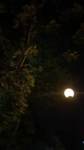 #kusumawijaya #fyp #aesthetic #nightvibes 