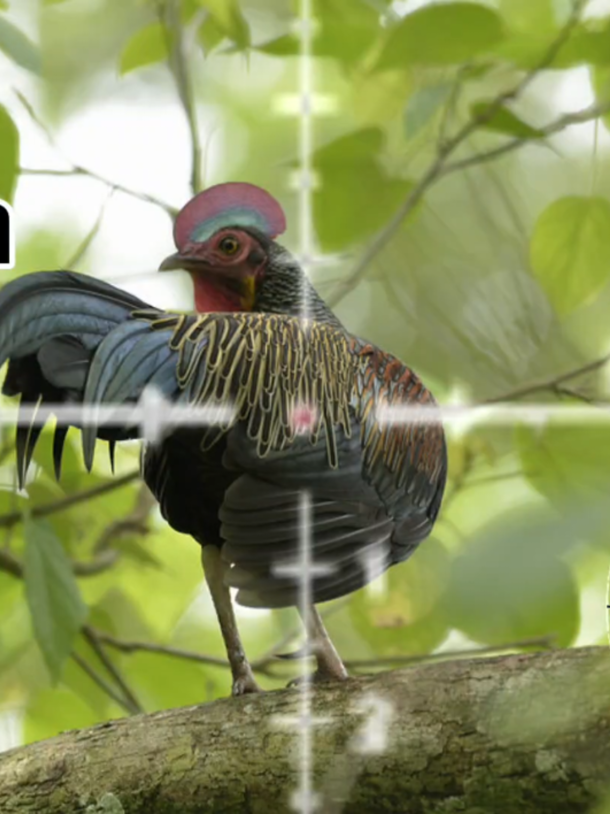 COCOK UNTUK SULING LOKAL MAUPUN BAWAAN UNIT #trending #bedilerindonesia🇮🇩 #fyp #fypシ #viral 