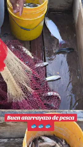 Buena pesca hoy. 16 de Agosto, sector del Chorro en Honda Tolima. 