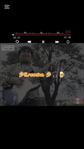 La recuerdas esta canción🎶❤️#gruponectar #elarbolito #cumbiaperuana #letrasdecanciones #paraty 