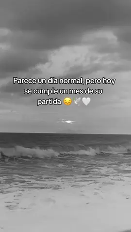 Un mes que ya no está aquí con nosotros 😔💔#paratiiiiiiiiiiiiiiiiiiiiiii #unbesoalcielo🥺 