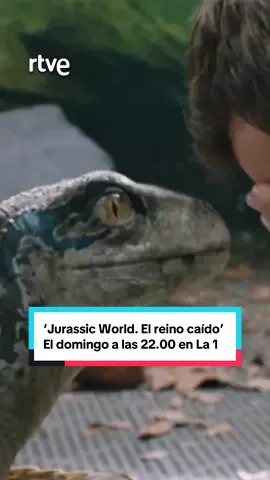 🦖‘Jurassic World. El reino caído’ 🦖 Este domingo a las 22.00h en La 1 y RTVE Play #JurassicWorld #blue #dinosaurio #velociraptor #cineentiktok 