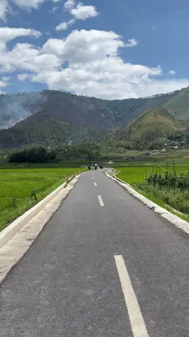 Udah ijo lagi we, persawahan viral itu. #persawahan #samosir #danautoba #fyp #berandatiktok 