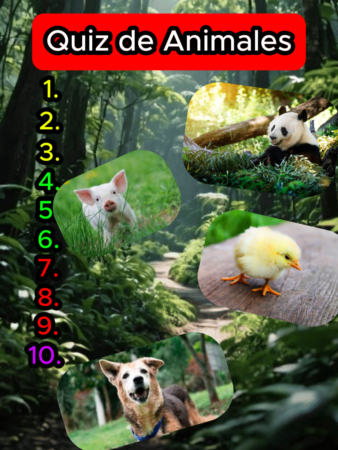 quizz de animales nivel 1, mas adelante subire el nivel #quizchallenge #animal #trivia #animales