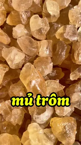 1kg mủ trôm vàng kèm gói hạt chia #mủtrôm #mủtrômvàng 