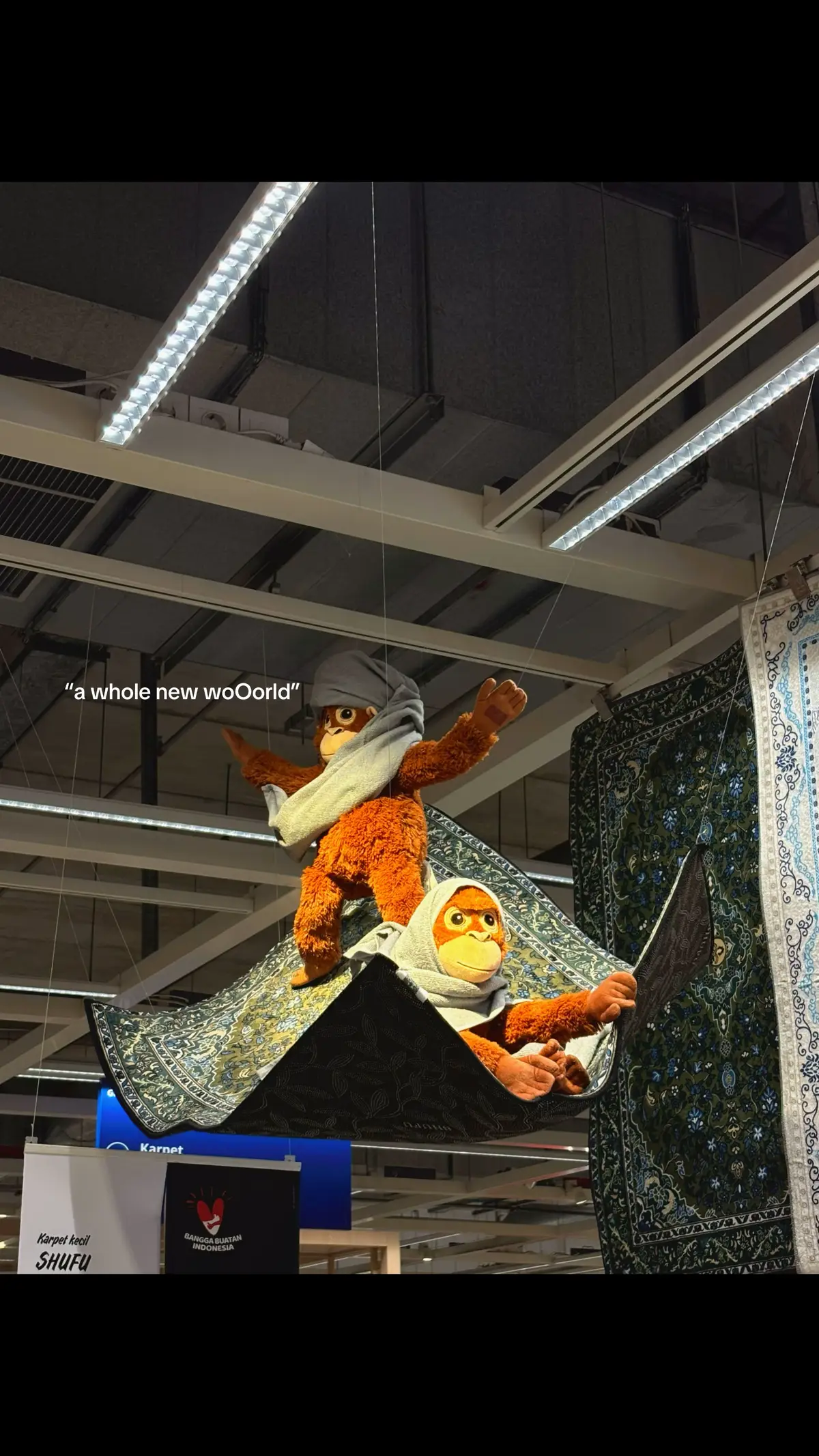 #disney #fyp #aladdin #ikea #monkey 