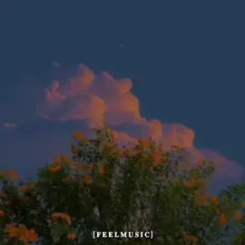 နေရစ်တော့ကွယ် သွားတော့မယ် // စိုင်းထီးဆိုင် #နေရစ်တော့ကွယ်သွားတော့မယ် #စိုင်းထီးဆိုင် #fyp #foryou #feelmusic 