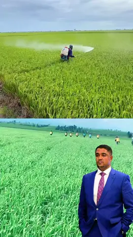 #Oromiyaa #shimalisabdisaa #abiyahmedali #Ethiopia #prosperity 