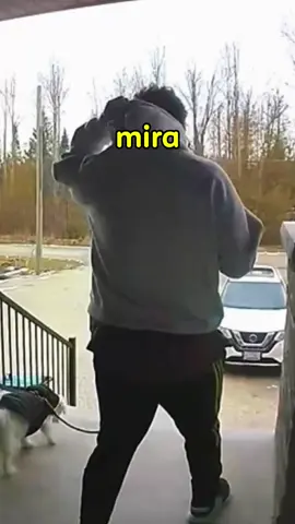 este hombre no se dio cuenta de que el perro se le había quitado la correa #perros  #mascotas 