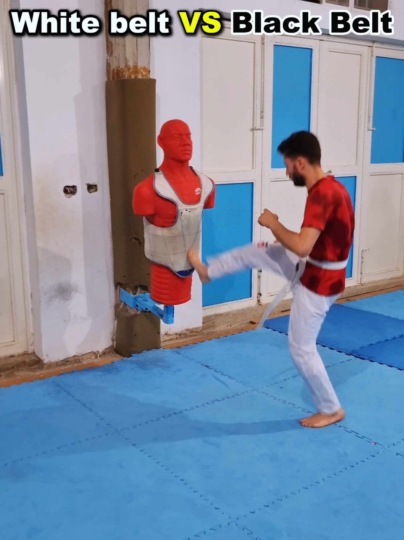 White Belt gets claps 👏… Black Belt gets the pad 💥😂 #Taekwondo #MartialArts #TaekwondoLife #TaekwondoTraining #FunnyShorts