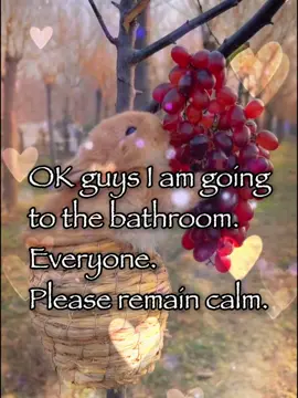 I’m going to the bathroom ✌️😭#bunny #rabbitsoftiktok #trending #meme #fyp 