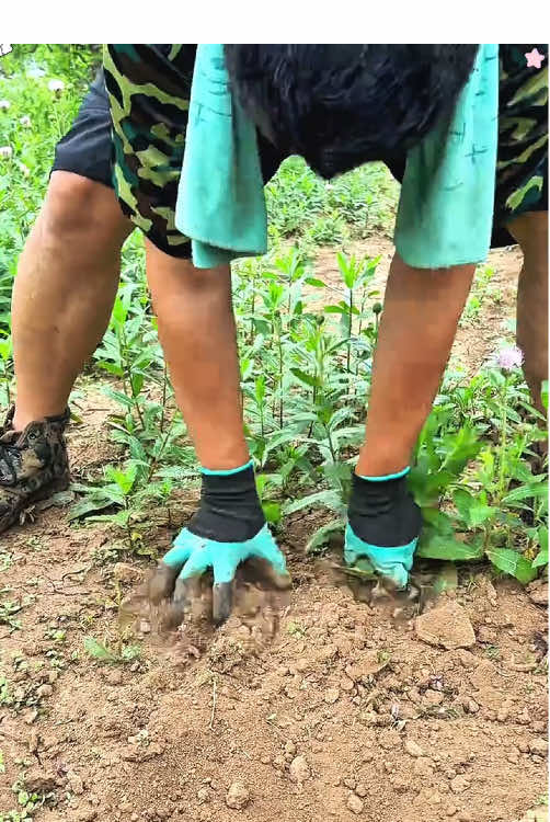 GardeninggloveswithclawsProtectyourhandsReplacetoolsTheyarewaterproofandwashableTheysavetime#GuantesDeJardinería#JardineríaFácil#GuantesConGarras#TikTokMadeMeBuyIt#TikTokShopBacktoSchool