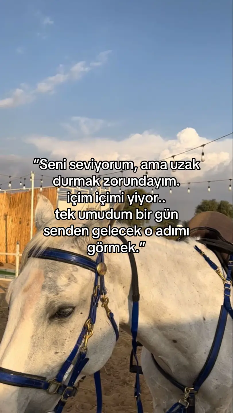 #beniöneçıkart #öneçıkarttiktok 
