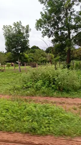 #bello el campo #