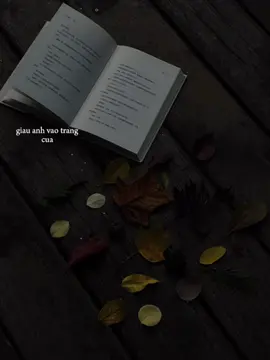 Chưa quên được người ta à..?#khoi_31_8 #lyrics #nhachaymoingay #remix #khobau 