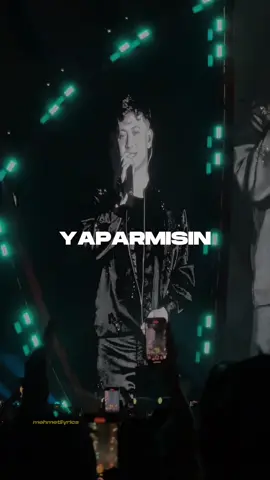 İstanbul Festivalinde Poizi'nin 