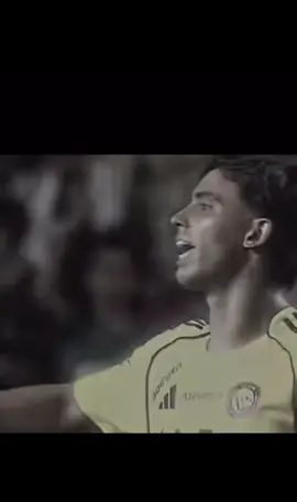 #فليكس #💛💙 #🇵🇹🇵🇹 #النصر #كريستيانو_رونالدو🇵🇹 