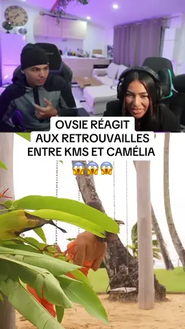 J’crois qu’Ovsie va pas être contente 🤣🤣 #camelia #faressalvatore #snap #kemys #ovsie @Fares Salvatore 