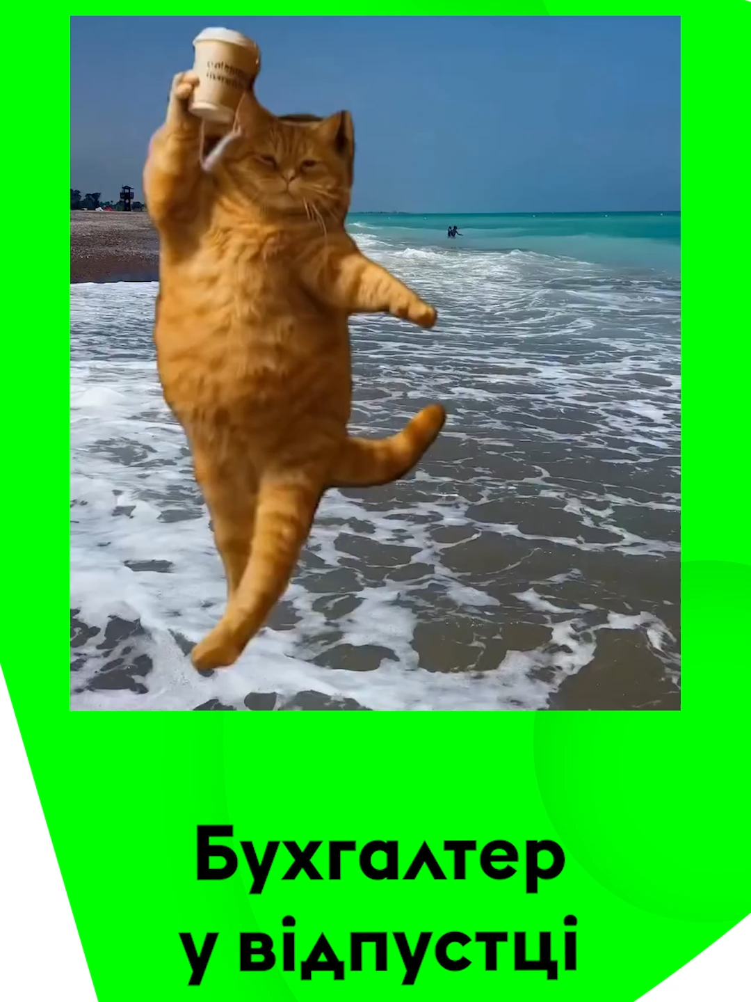 Відпустка бухгалтера — це як закритий звіт: все під контролем і можна трохи видихнути 😅 Кава, море, сонце — і навіть дебет з кредитом не сперечаються 🌞☕️🌊 #бухгалтерія #відпустка #баланс #relax #2025 #factoracademy