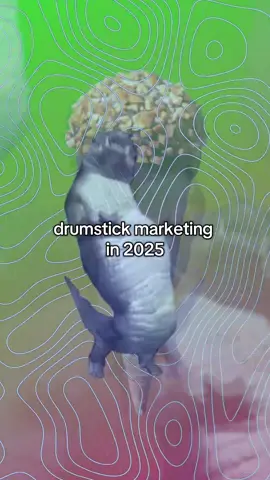 stop calling me an intern — love, admin #drumstick #crocodile #alligator #meme #fyp