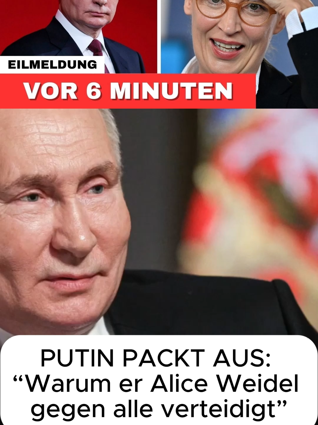 PUTIN PACKT AUS: “Warum er Alice Weidel gegen alle verteidigt”