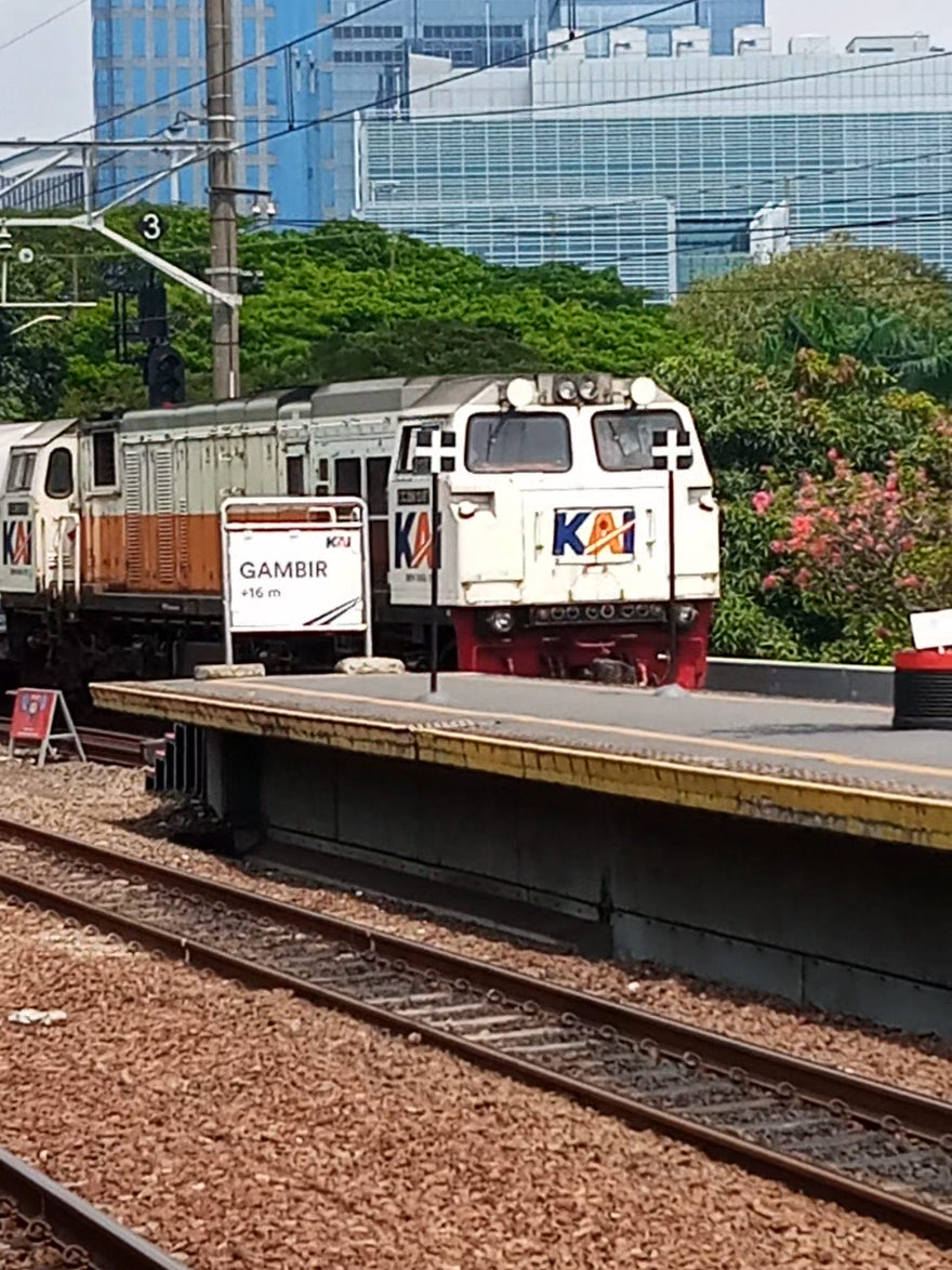 Ka Purwojaya Masuk Stasiun Gambir #kapurwojaya #beautifulview #keretaapiindonesia #ayonaikkereta 
